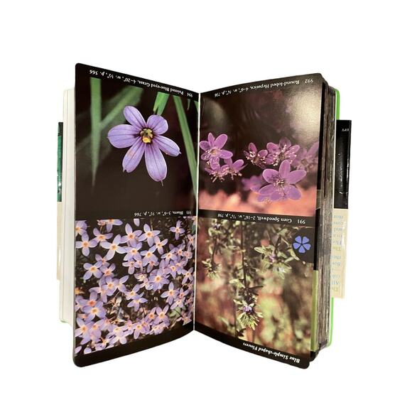 Audubon Society Book Field Guide to North American Trees Eastern Region Forestry - Picture 4 of 9